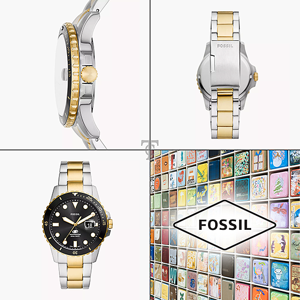 FOSSIL FS6031 portré kép