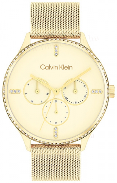 Calvin Klein CK25200372 karóra