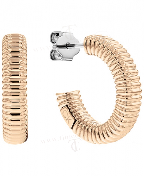 Calvin Klein Ékszer CKJ35000033 fülbevaló